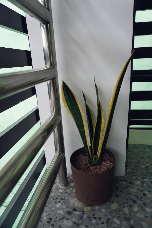 Cebu Backpackers Hostel エクステリア 写真